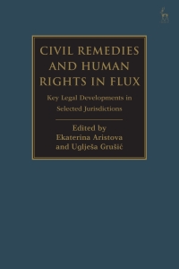 Imagen de portada: Civil Remedies and Human Rights in Flux 1st edition 9781509947638