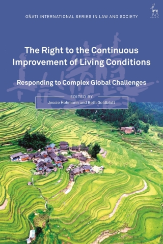 Imagen de portada: The Right to the Continuous Improvement of Living Conditions 1st edition 9781509947874