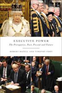 Cover image: Executive Power 1st edition 9781509951444