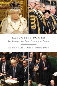 Cover image: Executive Power 1st edition 9781509951444