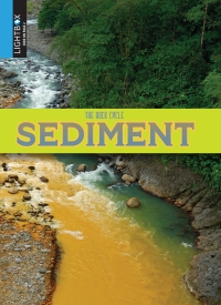 Omslagafbeelding: Sediment 1st edition 9781510544437