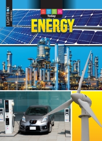 Cover image: Energy 1st edition 9781510544611