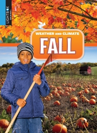 Omslagafbeelding: Fall 1st edition 9781510545090
