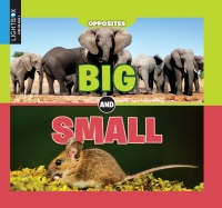 Imagen de portada: Big and Small 1st edition 9781510546202
