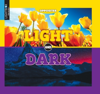 Cover image: Light and Dark 1st edition 9781510546325