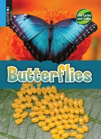 Cover image: Butterflies 1st edition 9781510554269