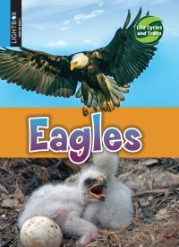 Cover image: Eagles 1st edition 9781510554306