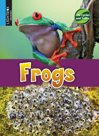 Imagen de portada: Frogs 1st edition 9781510554320