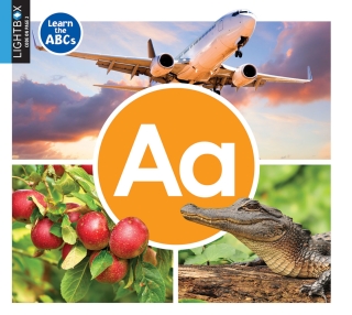 Cover image: Aa 1st edition 9781510557352