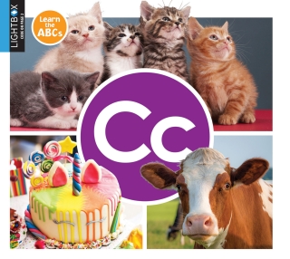Cover image: Cc 1st edition 9781510557413