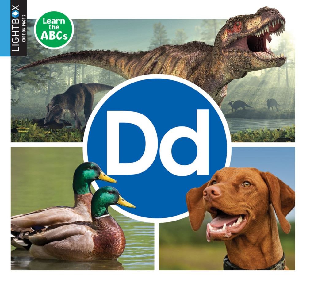 Dd 1st Edition