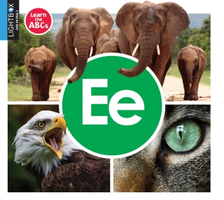 Imagen de portada: Ee 1st edition 9781510557475