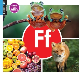 Titelbild: Ff 1st edition 9781510557505