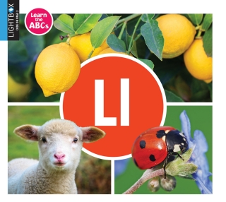 Imagen de portada: Ll 1st edition 9781510557703