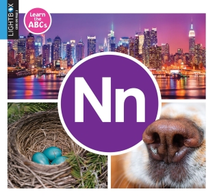 Cover image: Nn 1st edition 9781510557741