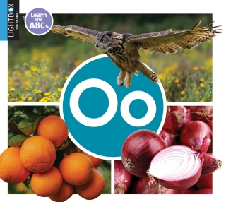 Imagen de portada: Oo 1st edition 9781510557772