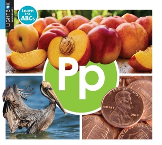 Imagen de portada: Pp 1st edition 9781510557802
