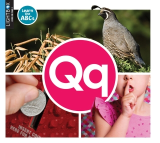 Imagen de portada: Qq 1st edition 9781510557833
