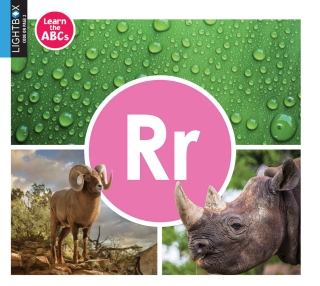 Cover image: Rr 1st edition 9781510557864