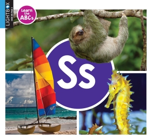 Imagen de portada: Ss 1st edition 9781510557895