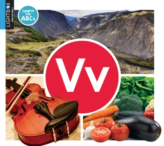 Imagen de portada: Vv 1st edition 9781510557987