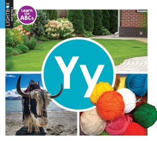 表紙画像: Yy 1st edition 9781510558076