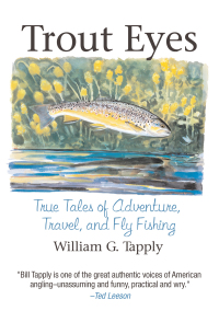 Cover image: Trout Eyes 9781634503259