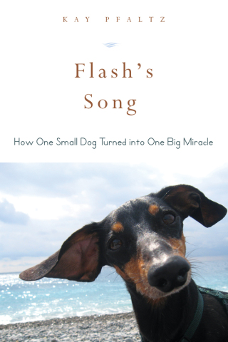 Cover image: Flash's Song 9781634502566