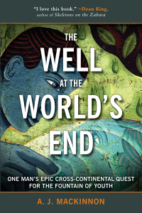 Cover image: The Well at the World's End 9781634502825