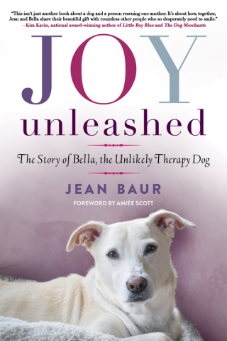 Cover image: Joy Unleashed 9781510702400
