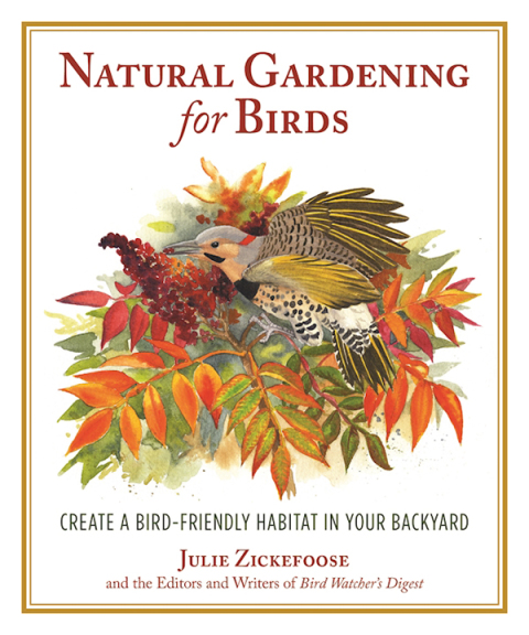 Natural Gardening for Birds: Create a Bird-Friendly Habitat in Your Backyard - FULL INSTANT DOWNLOAD | PDF DOCX EPUB