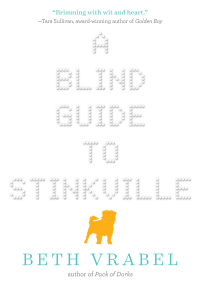 صورة الغلاف: A Blind Guide to Stinkville 9781510703827