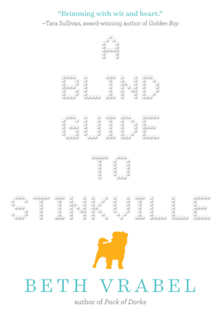 Cover image: A Blind Guide to Stinkville 9781510703827