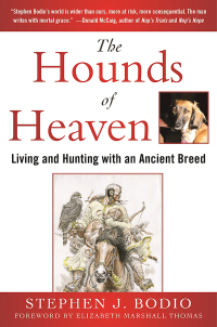 Cover image: The Hounds of Heaven 9781510705715