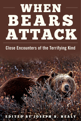 Cover image: When Bears Attack 9781510707177