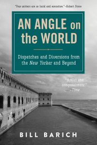 Cover image: An Angle on the World 9781510708334