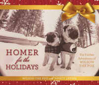 Cover image: Homer for the Holidays 9781510714427