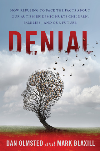 Cover image: Denial 9781510716940