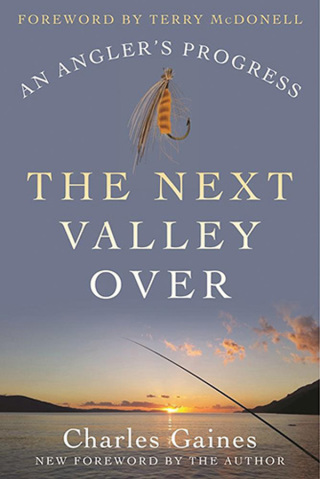 Cover image: The Next Valley Over 9781510717893