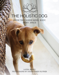 Cover image: The Holistic Dog 9781510718340