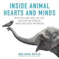 Cover image: Inside Animal Hearts and Minds 9781510718944