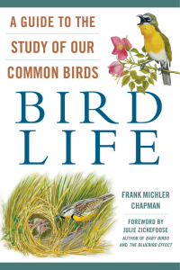 Cover image: Bird Life 9781510724488