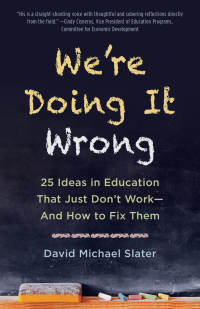 Cover image: We're Doing It Wrong 9781510725614
