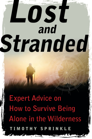 Cover image: Lost and Stranded 9781510727700