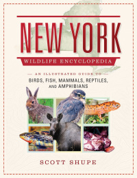 Cover image: The New York Wildlife Encyclopedia 9781510728844