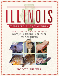 Cover image: The Illinois Wildlife Encyclopedia 9781510728851