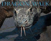 Cover image: Dragon Walk 9781510736733