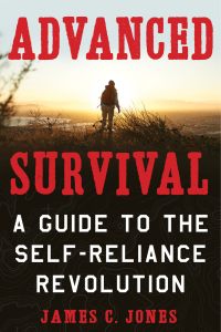 Titelbild: Advanced Survival 9781510738997