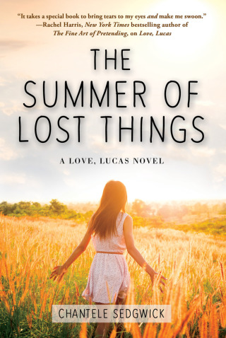 Cover image: The Summer of Lost Things 9781510743816