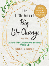 Cover image: The Little Book of Big Life Change